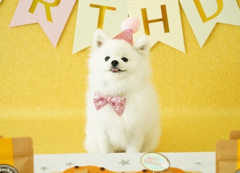 Holiday Inn Express Manhattan Times Square South - 15