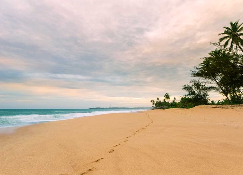 Circuit Au pays de l'or vert - 8