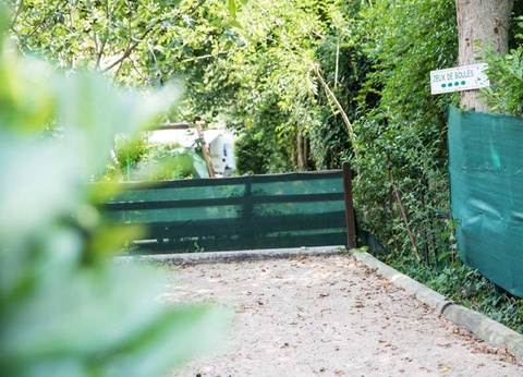 Camping Le Mas Fleuri, 2* - 5