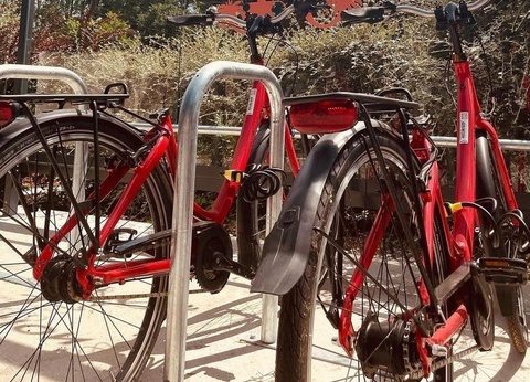 Camping L'Oasis du Berry, 4* - 23