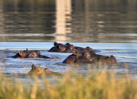 Circuit Inoubliable Botswana - 7