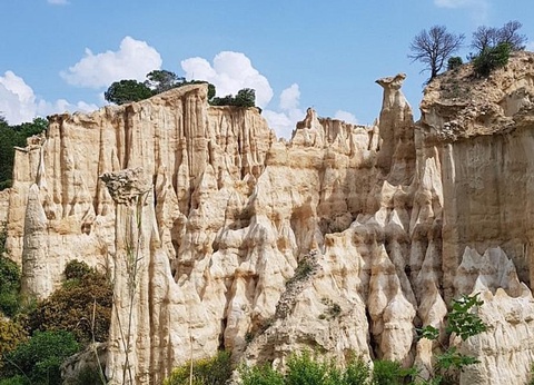 Camping Le Bois de Pins, 3* - 43