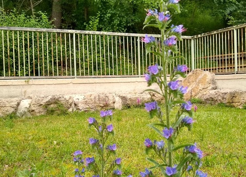 Camping Moulin de David 4* - 81