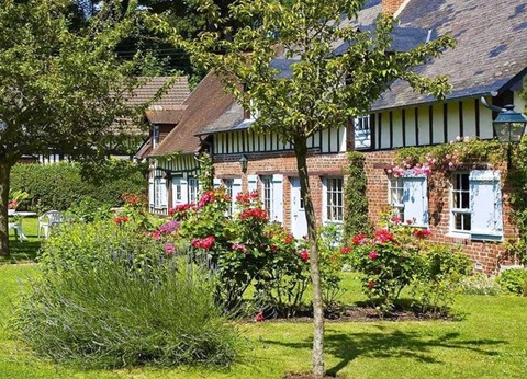 Flower Camping Vitamin, 4* - 32