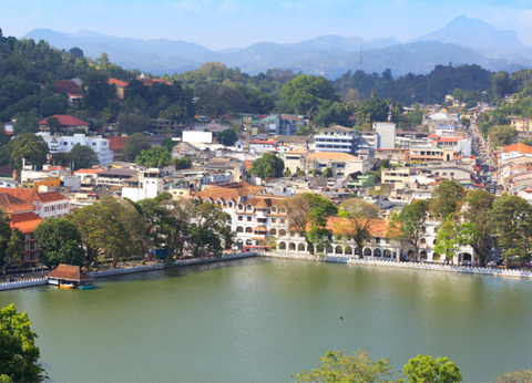 Circuit Lotus du Sri Lanka - 20