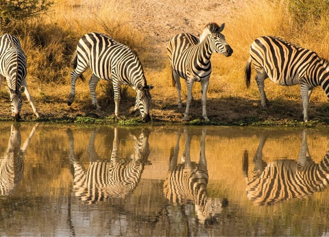 Circuit L'âme sauvage : voyage entre Kenya et Tanzanie - 10