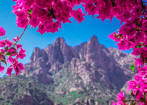 Hôtel Capo d'Orto 3* - 6