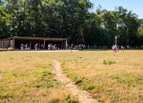 Camping Ferme Pédagogique de Prunay, 4* - 17