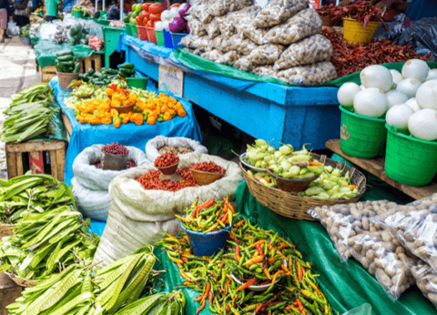 Circuit Odyssée Mexicaine : De Mexico au Yucatan - 25
