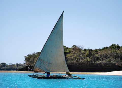 Hôtel Zanzibar BlueBay Beach Resort and Spa 5* - 7