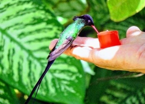 Autoutour Cool Running - 5