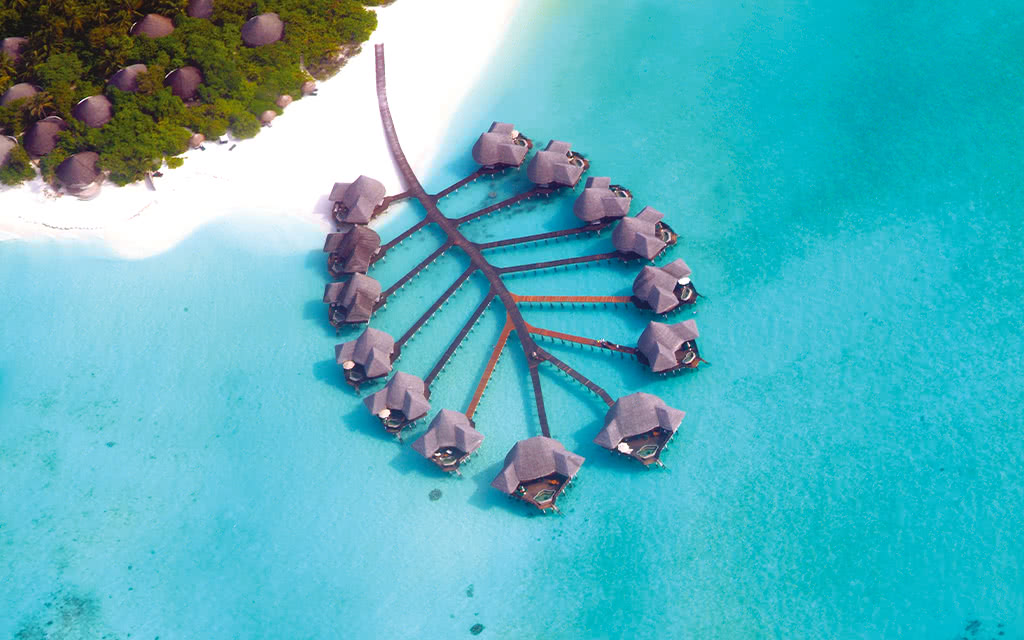 Hôtel Coco Palm Dhuni Kolhu 4* - 4