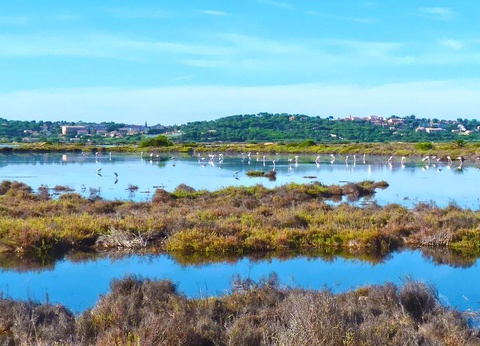 Camping Tikayan Les Palmiers, 4* - 35