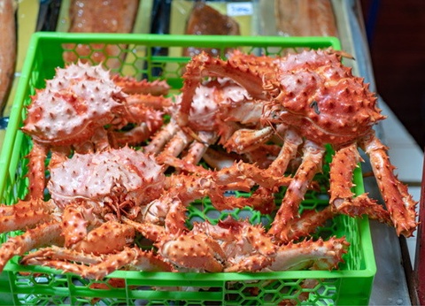 Circuit Échappée polaire au Cap Nord - 4