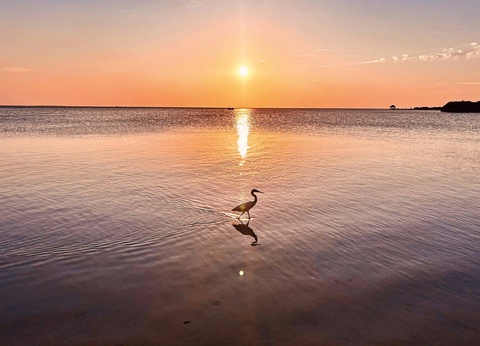 Hôtel Holbox, Île Lumière : Le secret du Yucatan 4* - 7