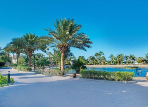 Hôtel Pharaoh Azur Grand Resort 4* - 30