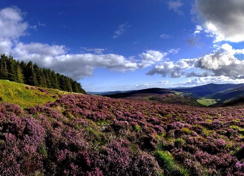 Autotour L'Irlande éternelle - 5
