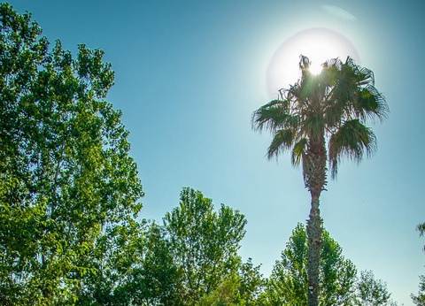 Camping Les Berges du Canal, 4* - 90