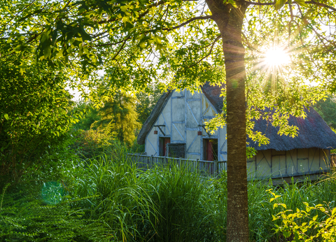 Puy du Fou - Hôtel Les Iles de Clovis - Hôtel+billet+petit déjeuner - 7