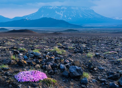 Autotour Au coeur des éléments - SDB Privative - 5