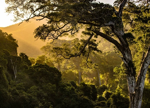 Circuit Légendes du Cap et de la savane **** - 17