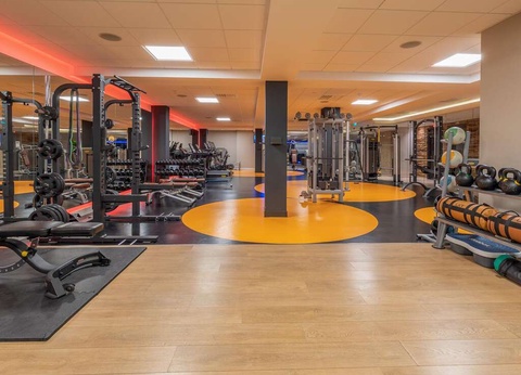 Découvrez Keukenhof et séjournez près de la côte de Scheveningen - 4* - 23