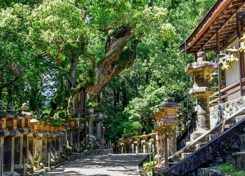 Merveilles du Japon & Alpes Japonaises & Extension Tokyo 15J/12N - 2026 - Limité à 24 pers. - 8