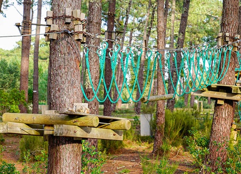 Camping La Pinède 4* - 10