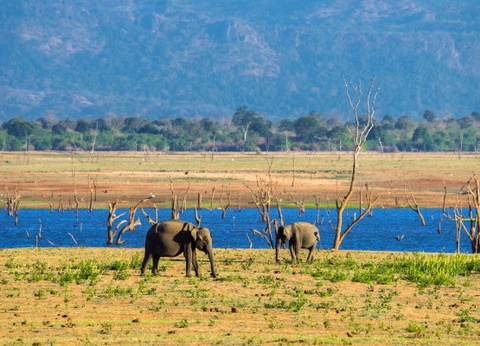 Circuit Splendeurs Insolites de Ceylan - 2