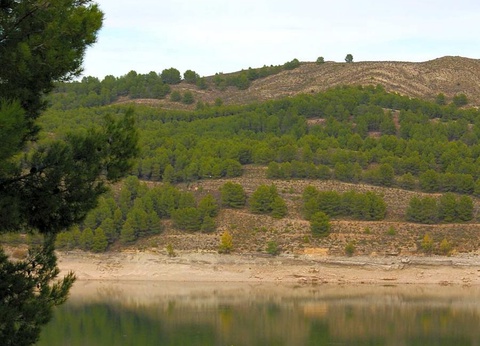 Camping Lago Resort - 25