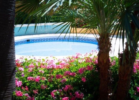 Hôtel Monarque Torreblanca 4* - 10