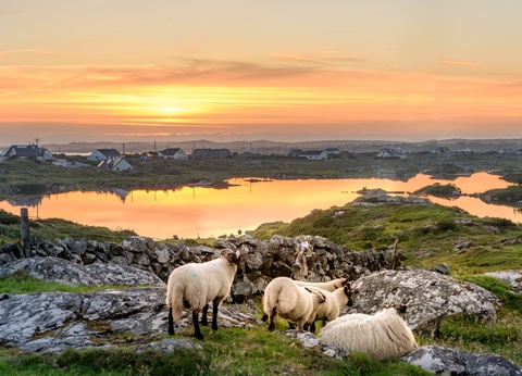 Circuit Balade Irlandaise - 7