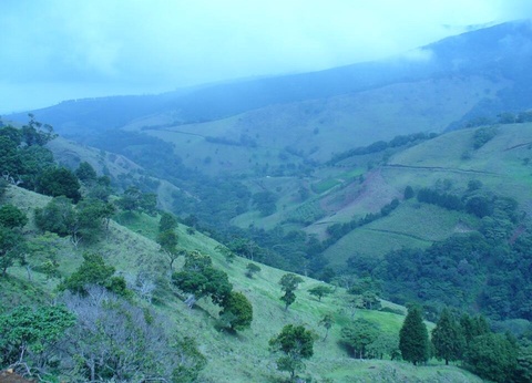 Circuit entre Jungles et Forêts du Costa Rica + extension Playa Samara - 18