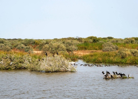 Combiné croisière et hôtel À Bord du Bou El Mogdad, au coeur du Sénégal authentique - 12