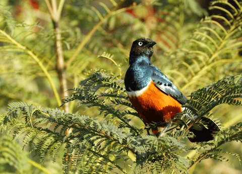 Circuit Safaris de Légende - 23