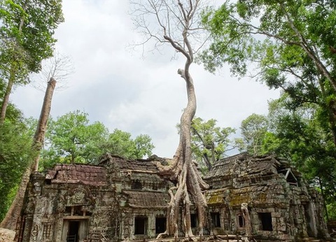 Immersion au Cambodge et balnéaire à Kep 13J/10N - 14