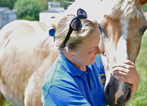 Camping Beauséjour, 4* - 60