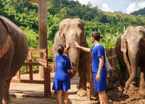 Circuit Charmes de Thaïlande 4* - 7