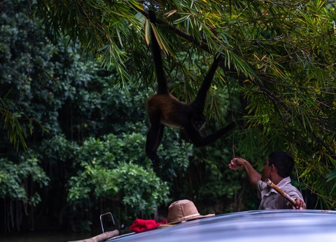 Circuit Coeurs Tz'utujil - 7