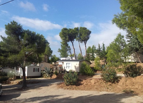 Camping Le Bois de Pins, 3* - 38