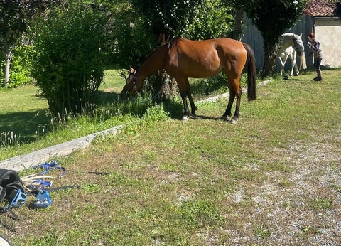 Camping La Cremade - 9