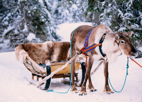 Club Jumbo First Village (activités incluses) - 10