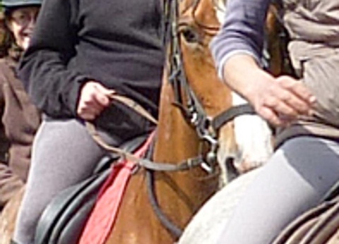 Camping Le Lac des Varennes, 3* - 25