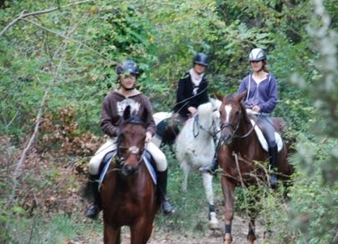 Camping Sites et Paysages - Les Pinèdes, 4* - 63