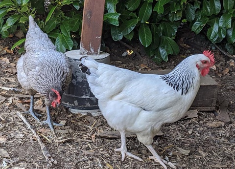 Flower Camping Côté Lac, 3* - 43