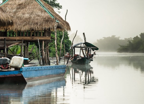 Circuit Traversée de la jungle luxuriante - 4