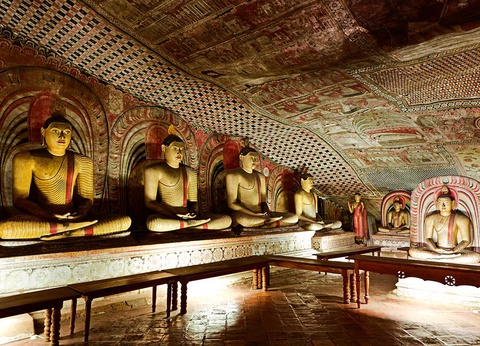 Circuit Au pays de l'or vert - 6