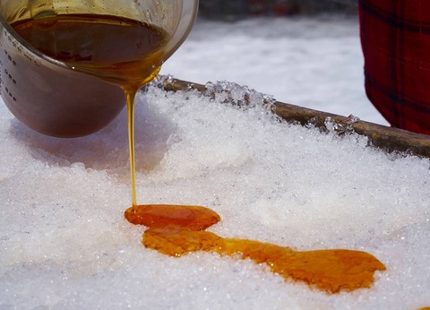 Panorama de l'Est (Canada-USA) - 16