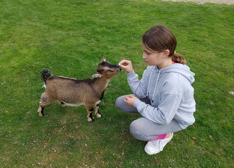 Camping Le Saint Laurent, 3* - 20