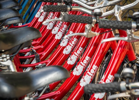 Camping Les Ajoncs d'Or 4* - 17